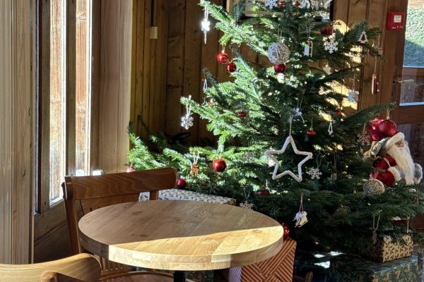 IMG_1853 (1) IMG_1853 (1)